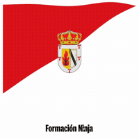 Flag Spain GIF by Formación Ninja