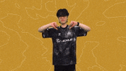 Esports Thumbs Down GIF by 100 Thieves