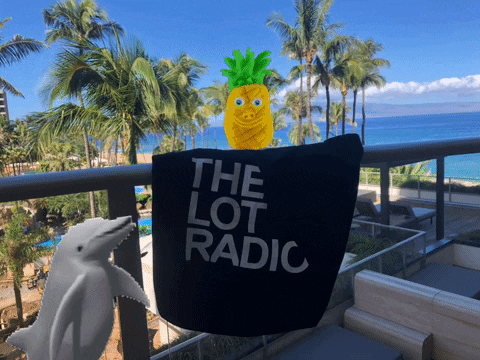 thelotradio giphyupload hawaii brooklyn pineapple GIF