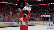 Stanley Cup Playoffs Win GIF by NHL