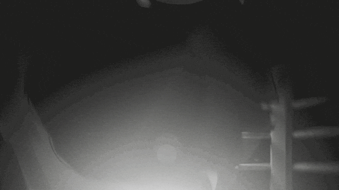 Ready To Fight Fight Night GIF