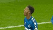 Utt Evertonfc GIF by Everton Football Club
