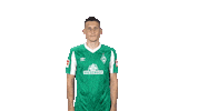 Maximilian Eggestein Bundesliga Sticker by SV Werder Bremen