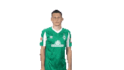 Maximilian Eggestein Bundesliga Sticker by SV Werder Bremen