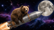 PICTON_Investments bear rocket good luck youve got this GIF