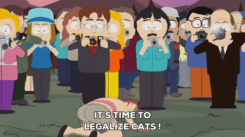 britney spears cats GIF by South Park 