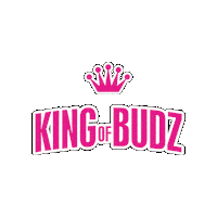 Breast Cancer Awareness Kob Sticker by King of Budz