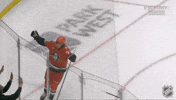 Happy Anaheim Ducks GIF by NHL