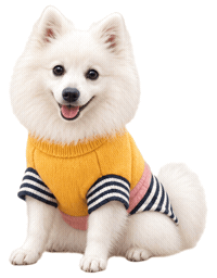 Japanese Spitz Dog Gif Sticker by MISTER WOOF