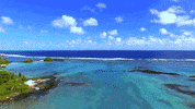 survivorau GIF by Australian Survivor