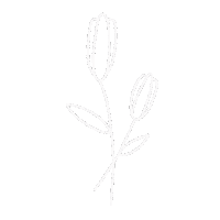 Flowers Aesthetics Sticker
