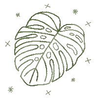 Plants Monstera Sticker