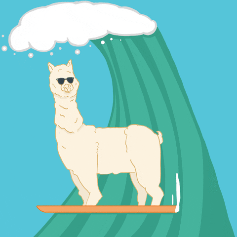Llama-surf GIFs - Get the best GIF on GIPHY