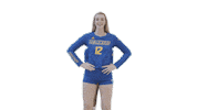Fun Volleyball Sticker by Delaware Blue Hens