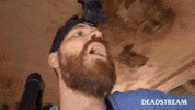 In Love Hug GIF by Deadstream