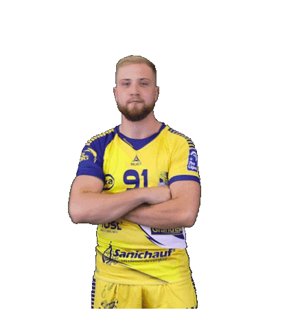 SarrebourgHandball giphyupload handball proligue sarrebourg Sticker