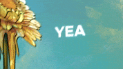 Lucky GIF by Zedd