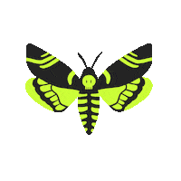 Illustration Halloween Sticker