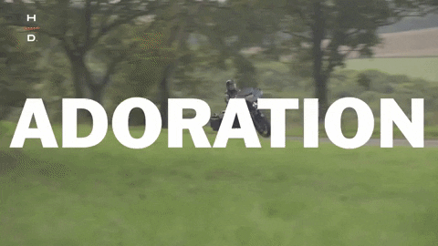 Performance Experience GIF by Harley-Davidson