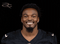Las Vegas Raiders GIF by Respective