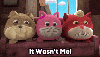 Cat No GIF by HangryPetz
