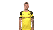 ending borussia dortmund Sticker by Bundesliga