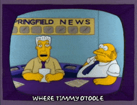 Reporting Season 3 GIF by The Simpsons