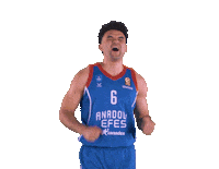 Euroleague Basketball Win Sticker by Anadolu Efes SK