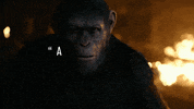 ceasar GIF by War for the Planet of the Apes