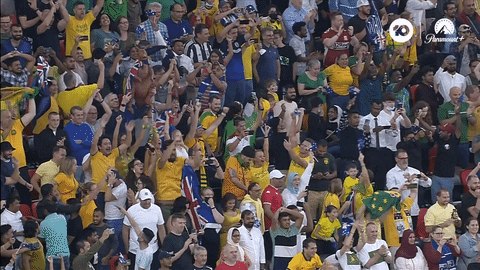 World Cup Win GIF by Football Australia