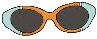rio de janeiro sunglasses Sticker by Salinas