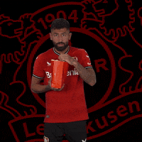 No Way Omg GIF by Bayer 04 Leverkusen