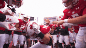 Big Ten Football GIF by Wisconsin Badgers
