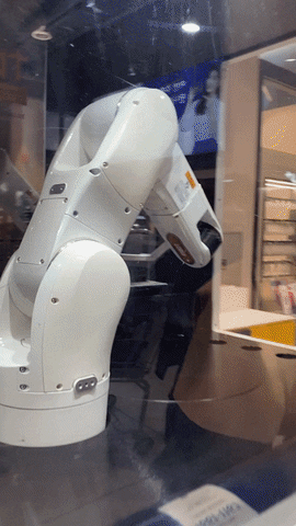 wikitree giphyupload GIF