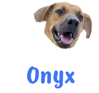 Dog Onyx Sticker