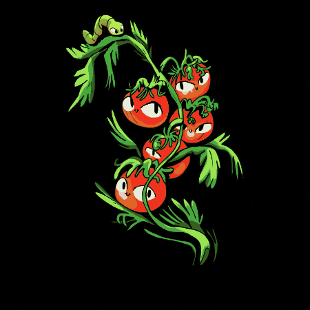corvinanim giphygifmaker nice fresh tomato GIF