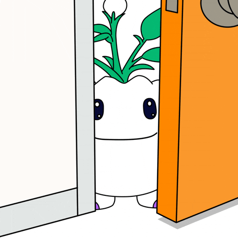 See You Hello GIF by Magic Eden