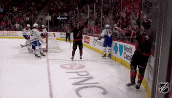 Happy Carolina Hurricanes GIF by NHL
