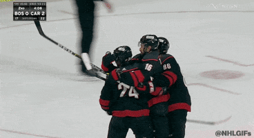 Ice Hockey Sport GIF by NHL