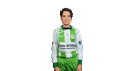 Flevoland Sticker by Asv Dronten