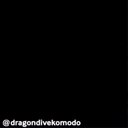 DragonDiveKomodo giphygifmaker ocean indonesia turtle GIF