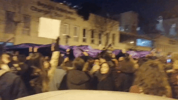 Protesters Defy Ban, Rally in Istanbul on Women's Day