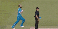 bash GIF