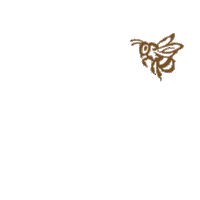 tullamoredew-event honey grilling med na zdravi Sticker