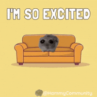 Excited Jump GIF by Sad Hamster