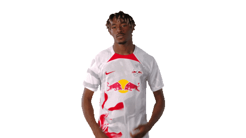 Football Sport Sticker by RB Leipzig