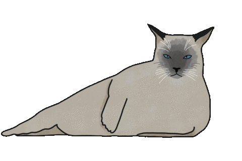 Cat Seal Sticker by Jasi