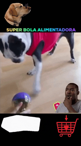 Compralopues giphygifmaker giphyattribution GIF