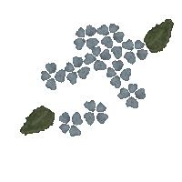 Design Flower Sticker