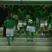 Ligue 1 Sport GIF by AS Saint-Étienne